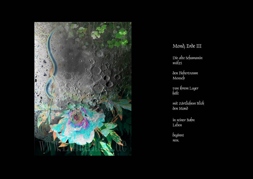 Collage16.jpg - Mond, Erde III