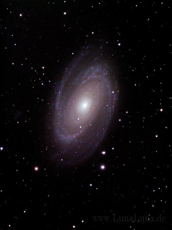 M81.jpg - M81