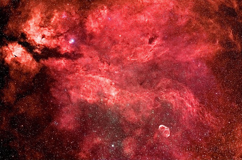 GammaCygni1.jpg - Nebel bei Gamma Cygni und Crescentnebel
