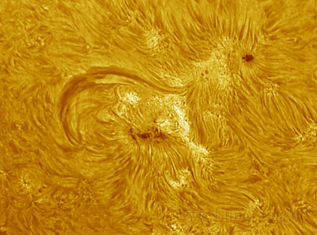 Sonne1Farbig.jpg - Sonnenflecken und Flares