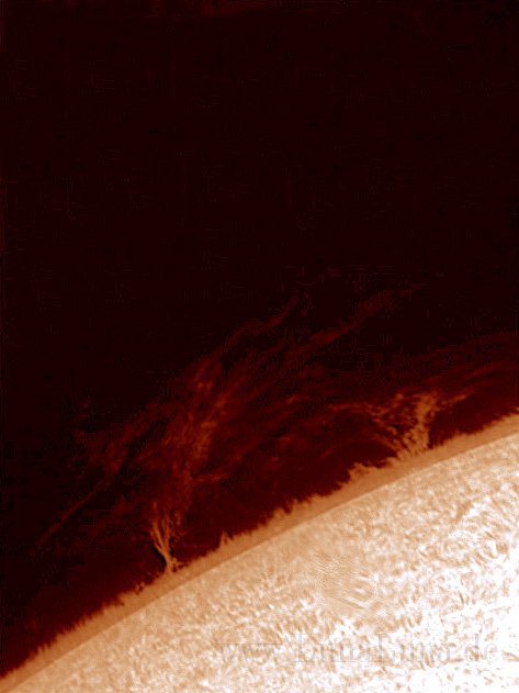 Sonne6a.jpg - Protuberanzen am Sonnenrand
